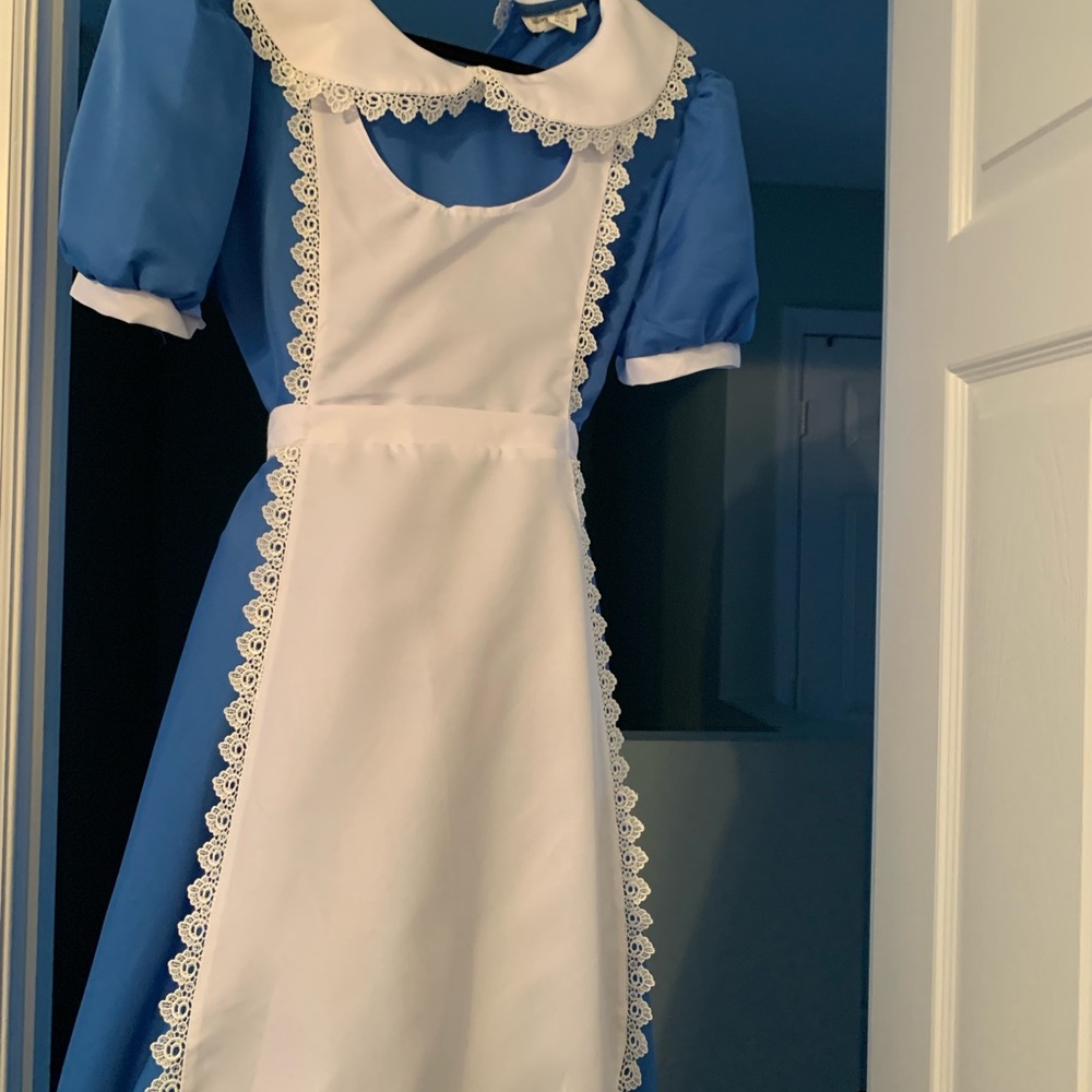 Classic Blue and White Alice-Style Women’s Costume Dress (Size XL)